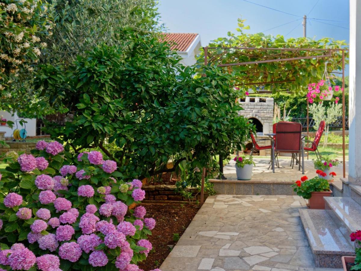 Apartments Marta By Rent Istria Novigrad Istria Exterior foto